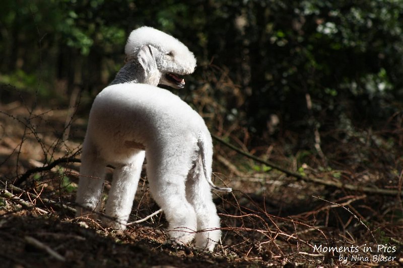 2010-05-29 Alanna und Svet (11).jpg - Airis Blue Volshebny Svet - 2010-05-29